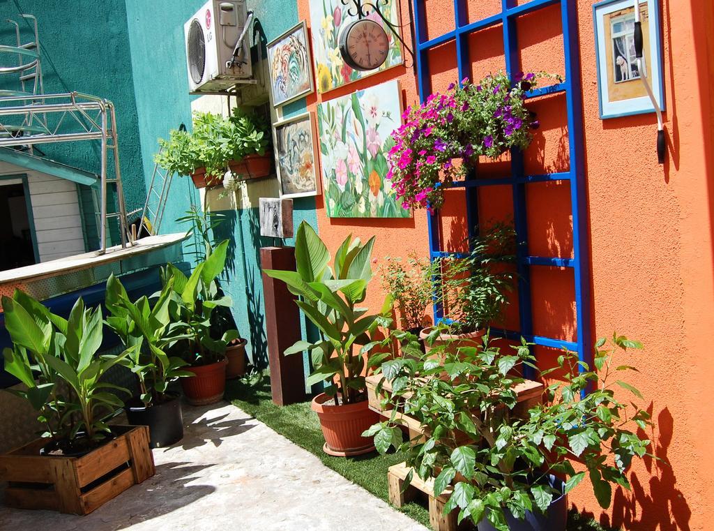 Guest House Vida Belgrad Zewnętrze zdjęcie